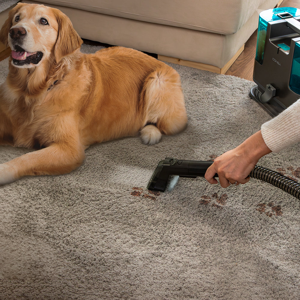 Cecotec Conga 3000 Carpet&Spot Clean L