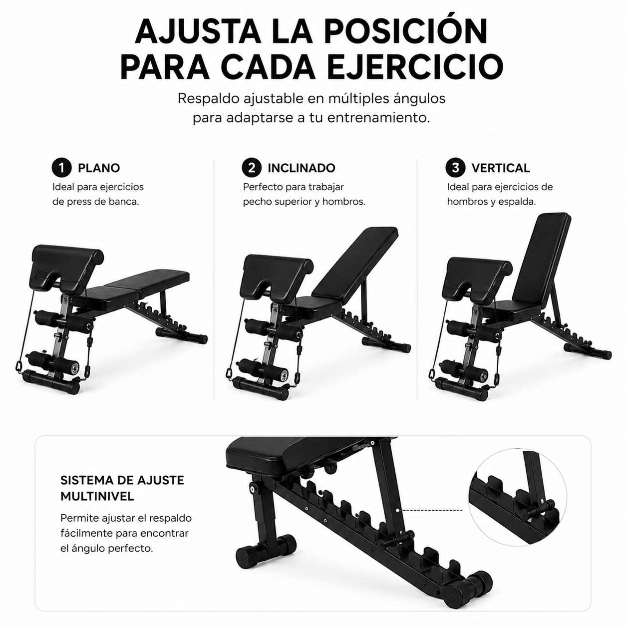 Banco De Musculación Plegable 2 En 1 Scott 120 Kg
