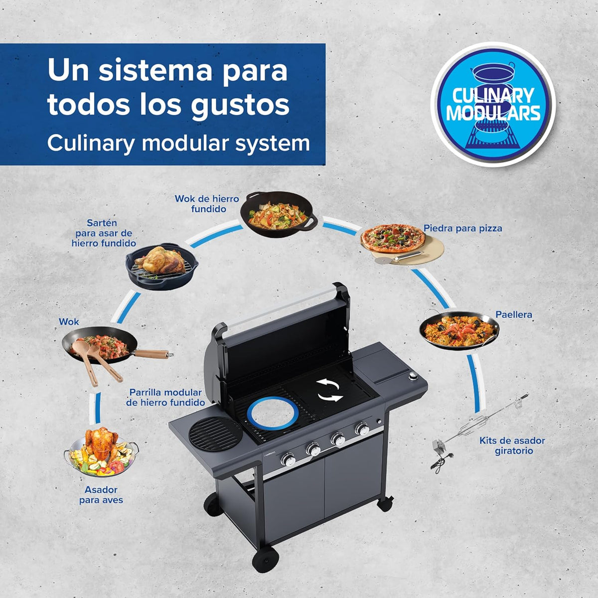 Campingaz - Barbecue 3 séries Classic LS Plus