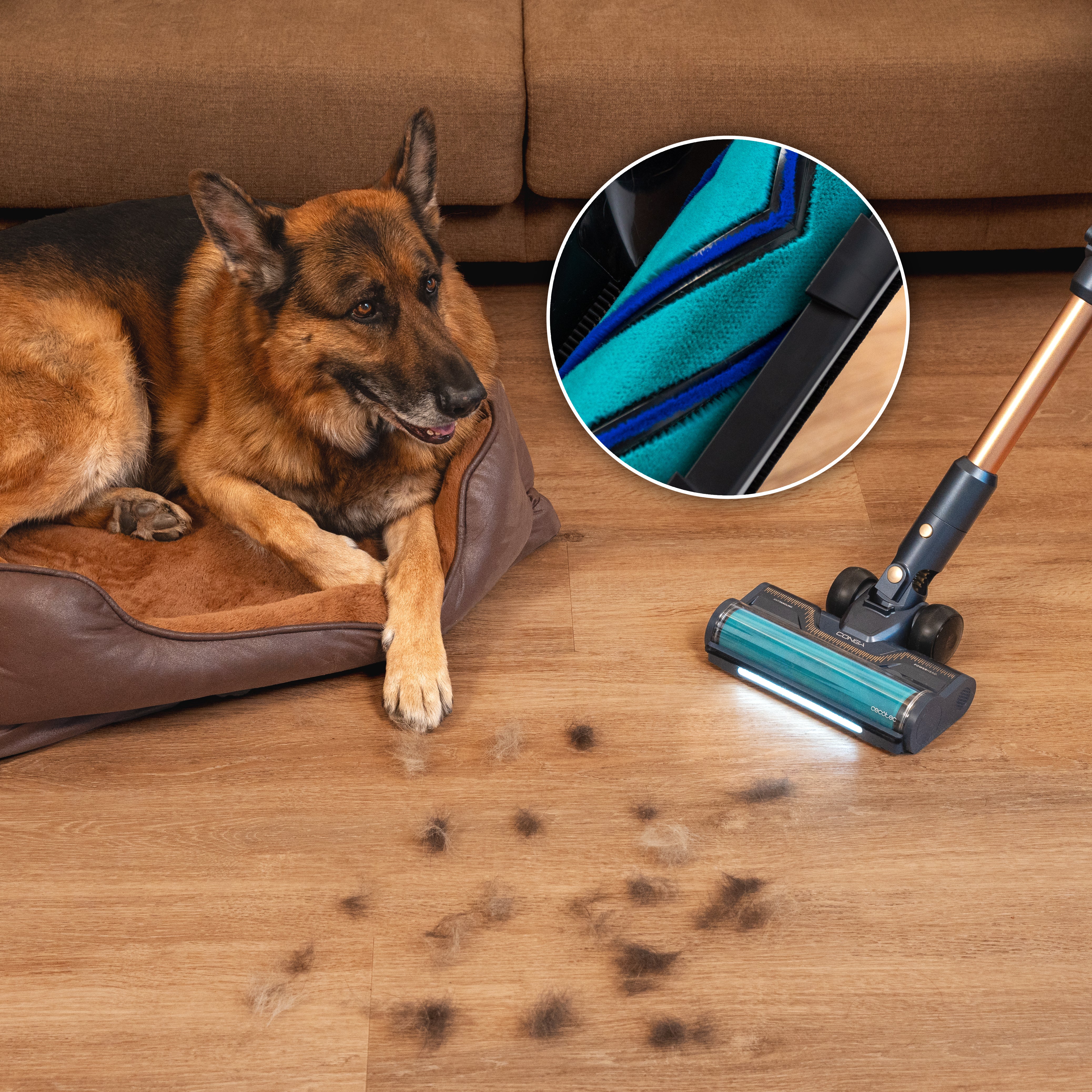 Cecotec RX70 AquaPet Flex Aspirateur 780 W Moteur Ungravity 300 AW Puissance Maximale Élevée