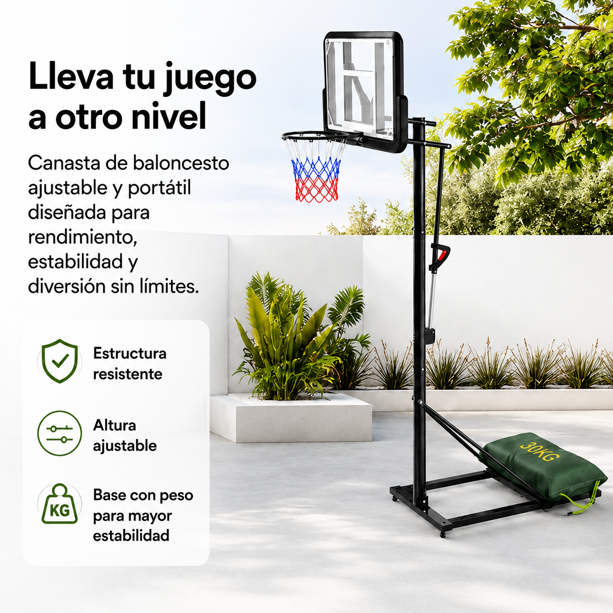 Canasta de Baloncesto con Altura Regulable 2,45-3,05 m