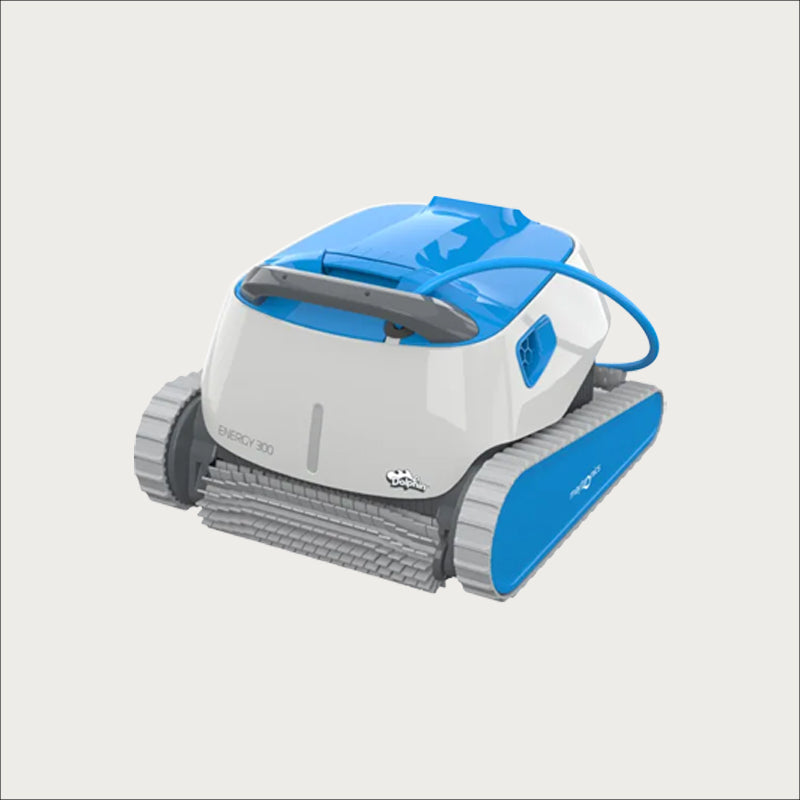 Dolphin Energy 300