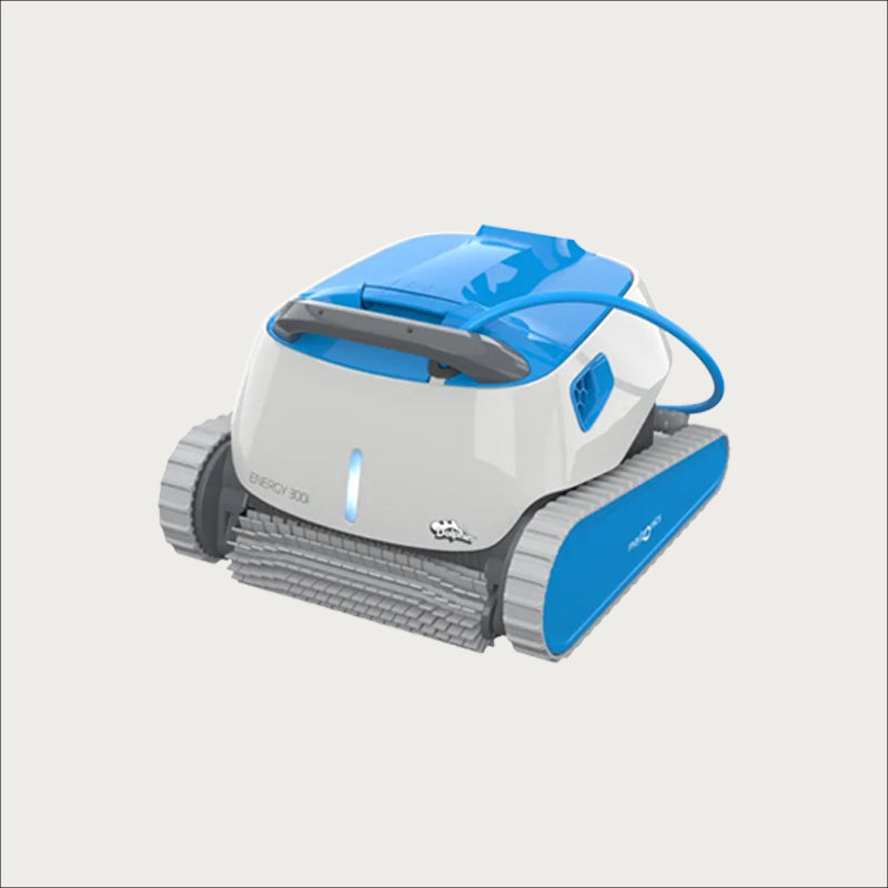 Dolphin Energy 300i