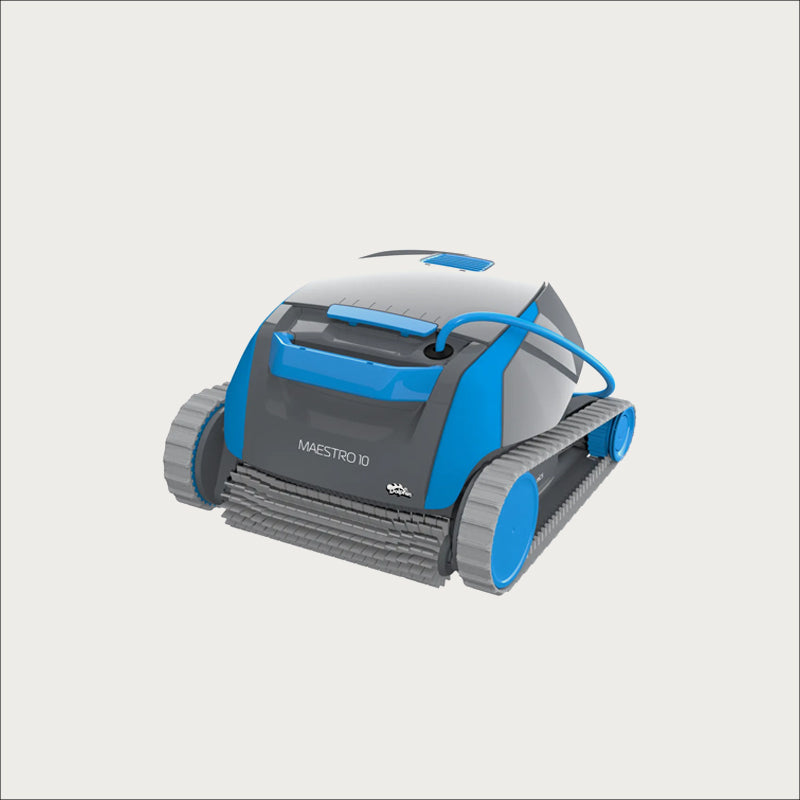 Dolphin Maestro 20
