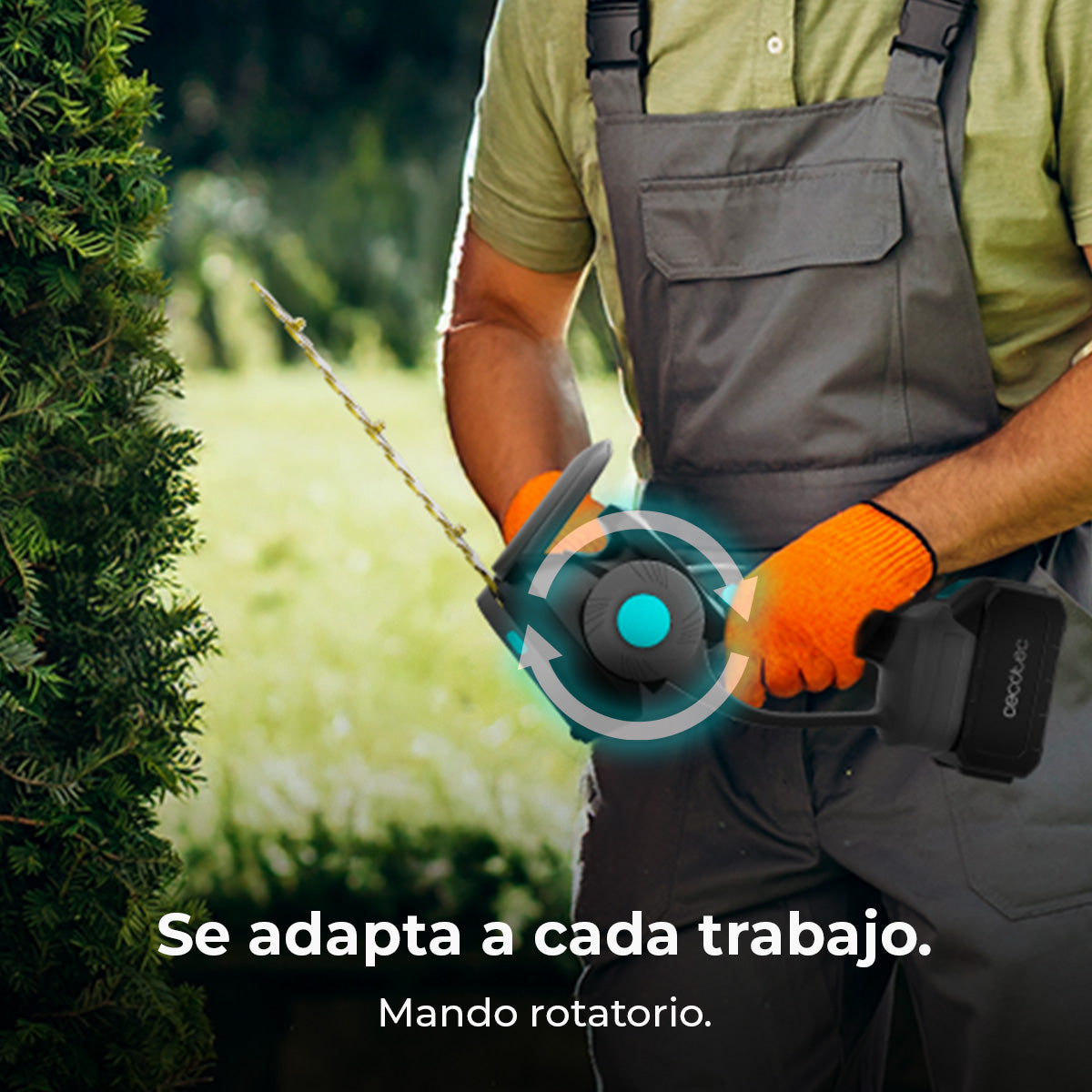 Tesoura de Cerca Viva Cecotec TitaniumSword 2120 Hand XL com Lâminas de Titânio Antiaderentes