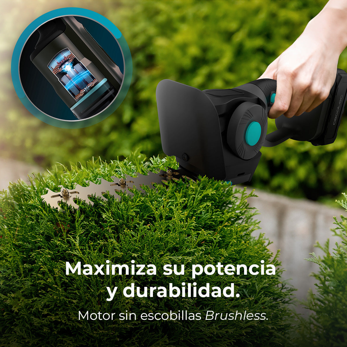 Tesoura de Cerca Viva Cecotec TitaniumSword 2120 Hand XL com Lâminas de Titânio Antiaderentes