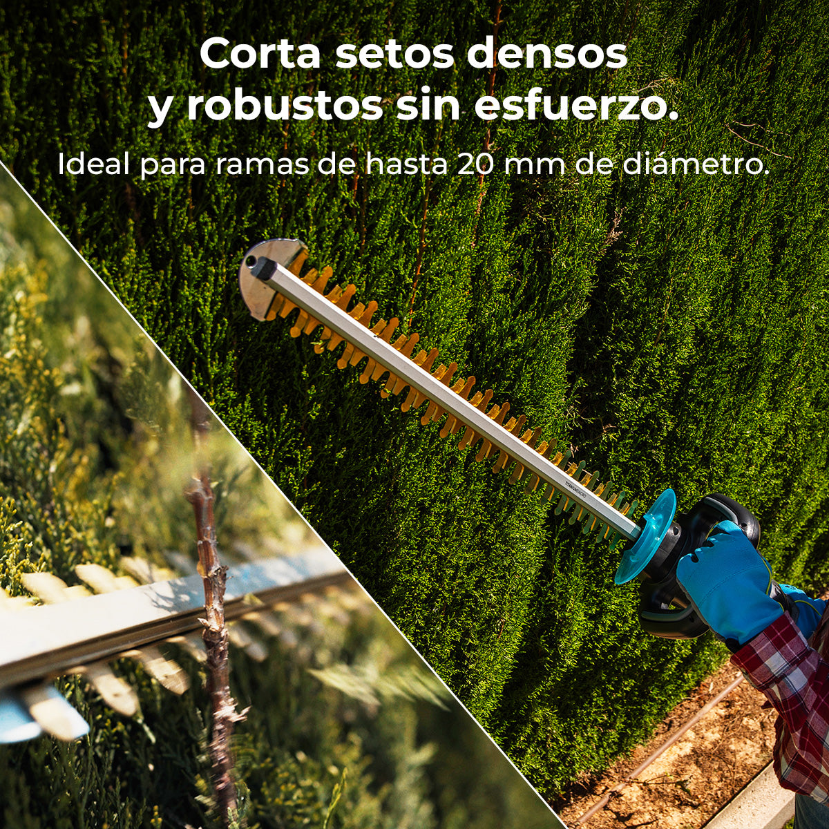 Cecotec Taille-haies TitaniumSword 610 XL