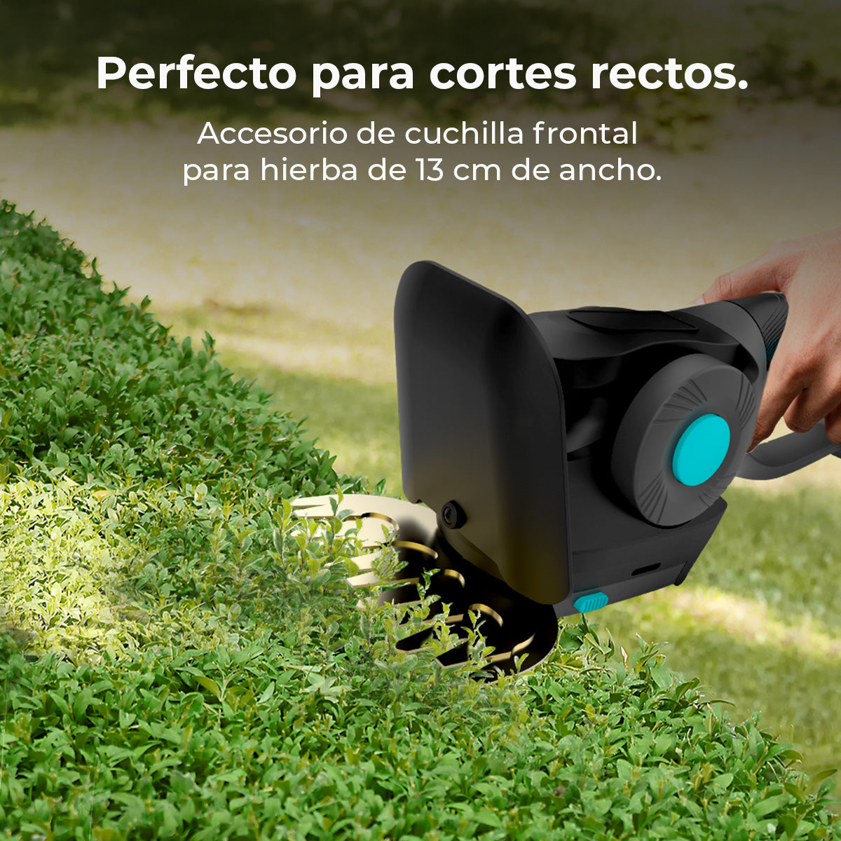 Tesoura de Cerca Viva Cecotec TitaniumSword 2120 Hand XL com Lâminas de Titânio Antiaderentes