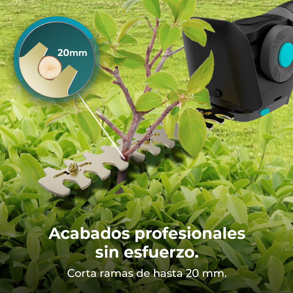 Tesoura de Cerca Viva Cecotec TitaniumSword 2120 Hand XL com Lâminas de Titânio Antiaderentes
