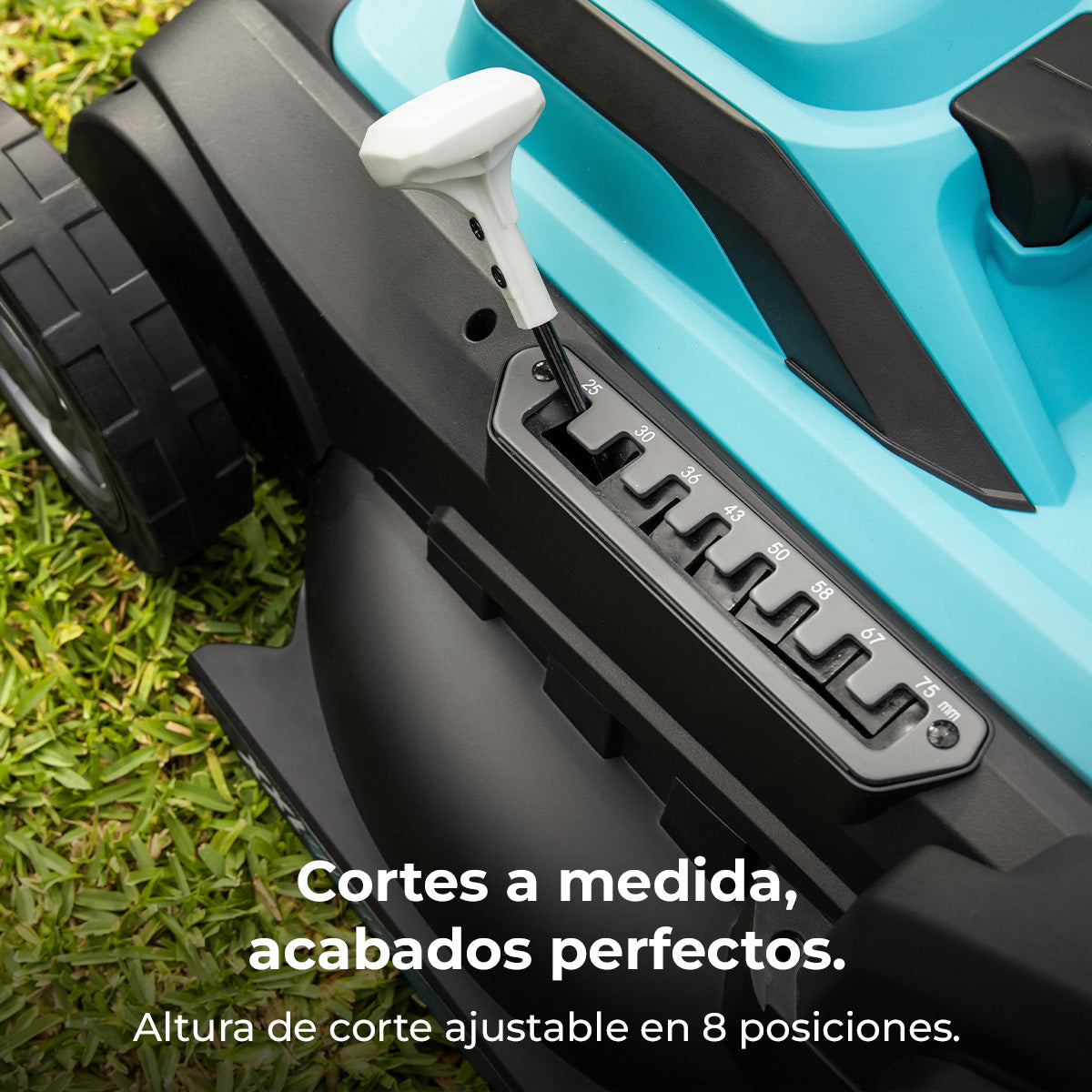 Cecotec Tagliaerba Elettrico Terrenator 460 Flex Z Auto 2000 W Trazione Automatica per Facilitare il Lavoro