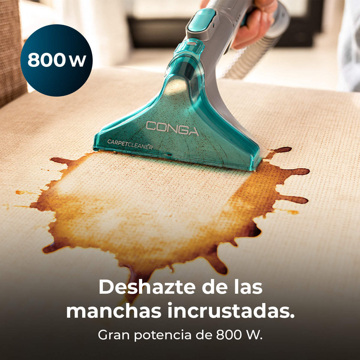 Cecotec Conga CarpetClean 10000 EasyHome Nettoyeur de Tapis Traîneau 800 W Puissance