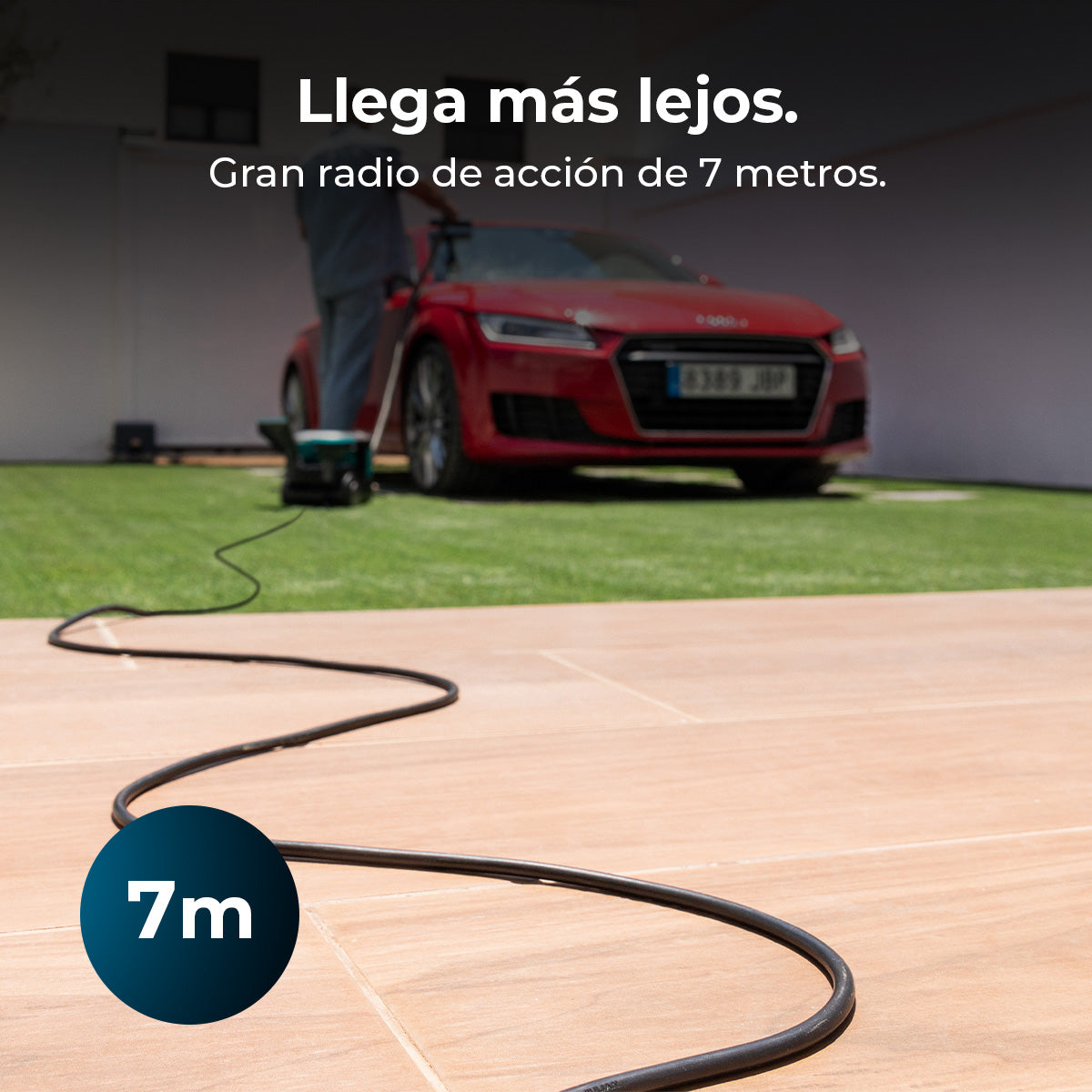 Cecotec Conga CarpetClean 10000 EasyHome Nettoyeur de Tapis Traîneau 800 W Puissance