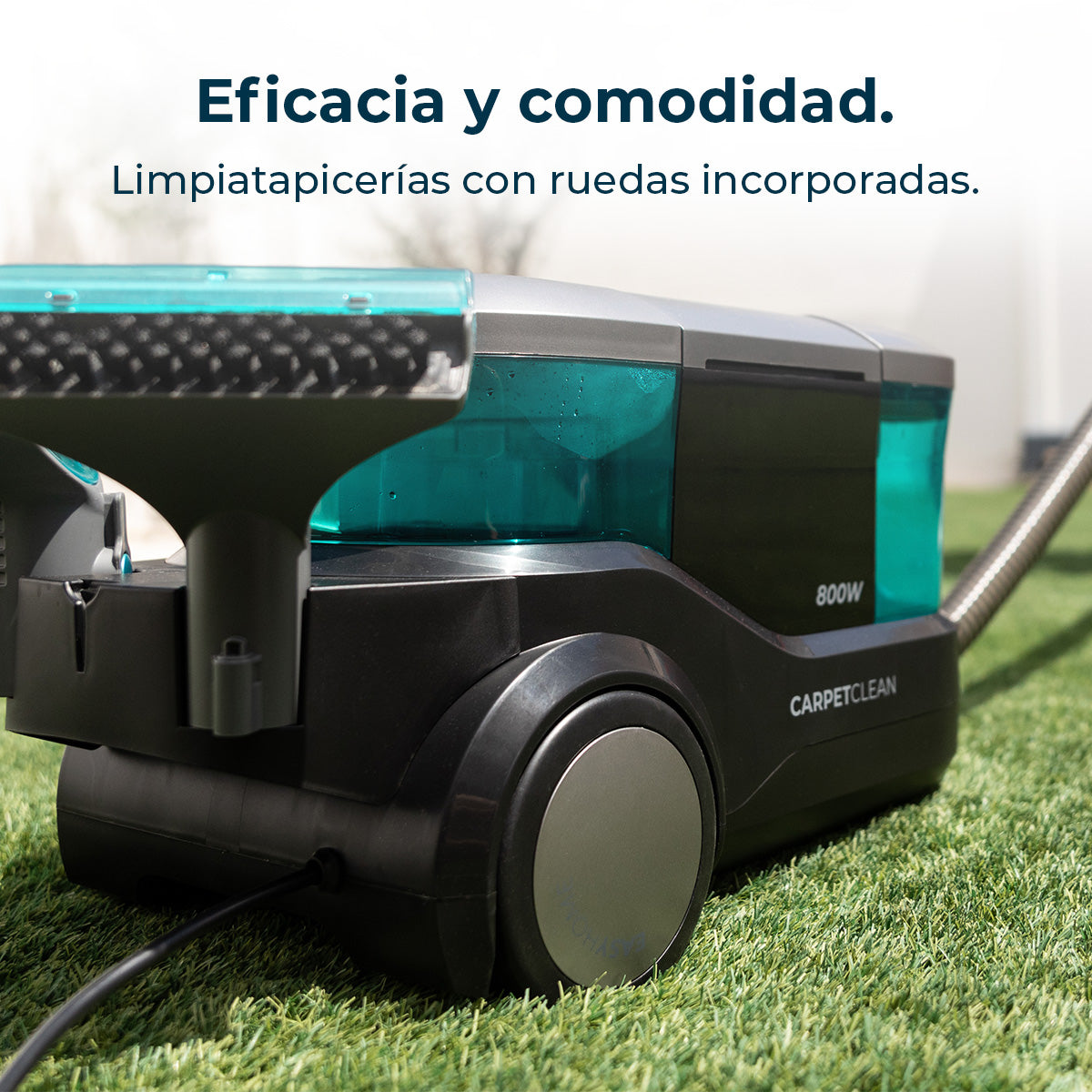 Cecotec Conga CarpetClean 10000 EasyHome Nettoyeur de Tapis Traîneau 800 W Puissance