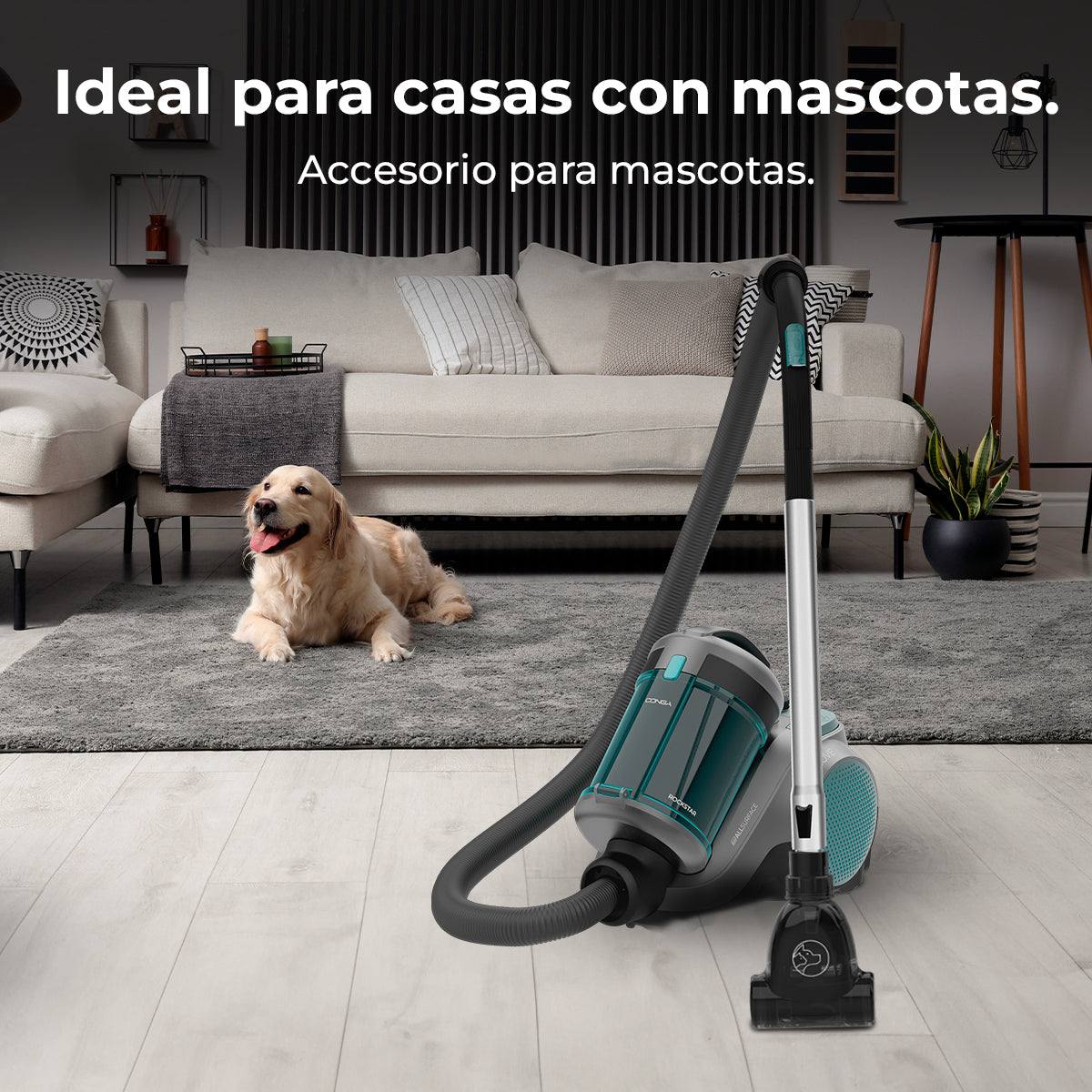Cecotec Conga Rockstar Cyclonic Powerbag Aspirateur Traîneau 900 W Sans Sac Avec Sac Indicateur de Réservoir