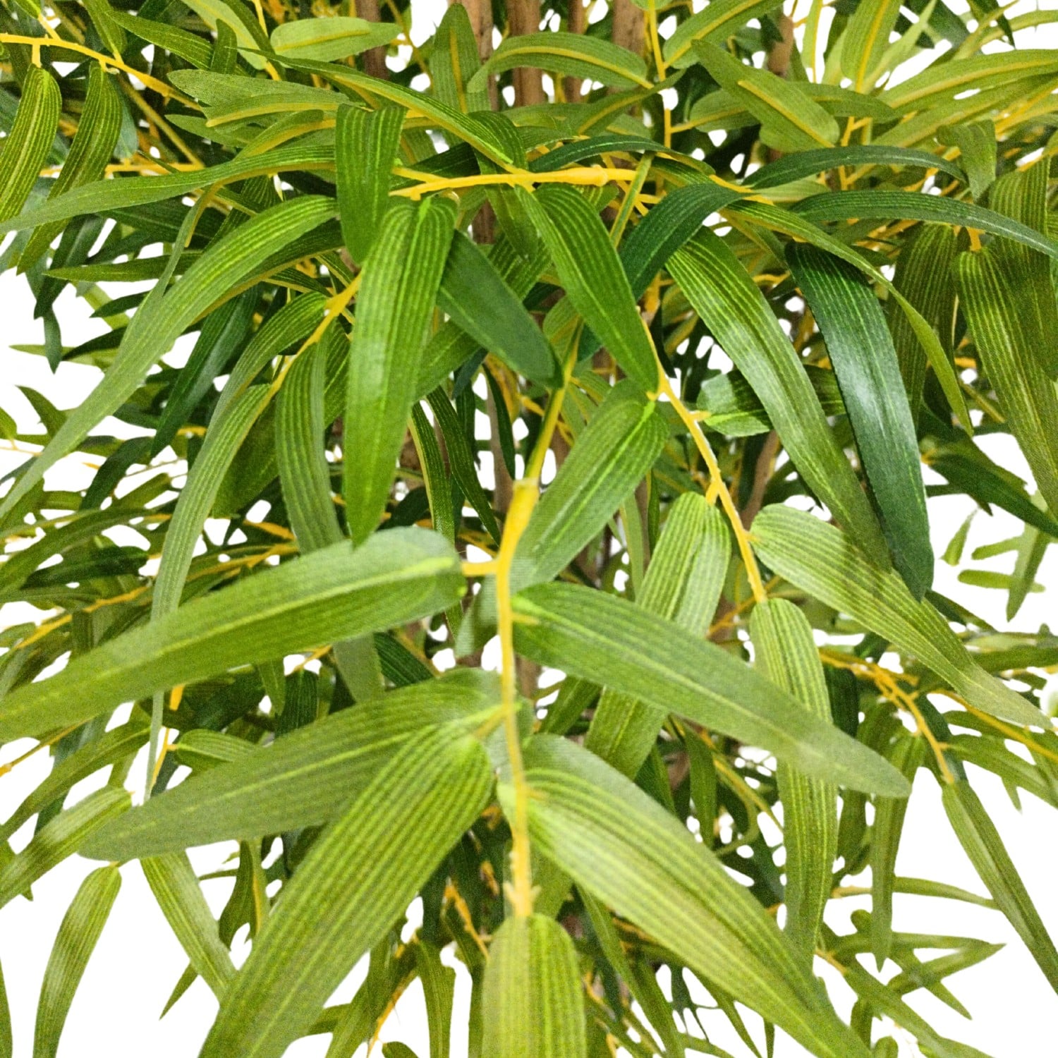 https://www.unicesped.com/wp-content/uploads/2025/12/Hojas-bambu-deluxe.jpg