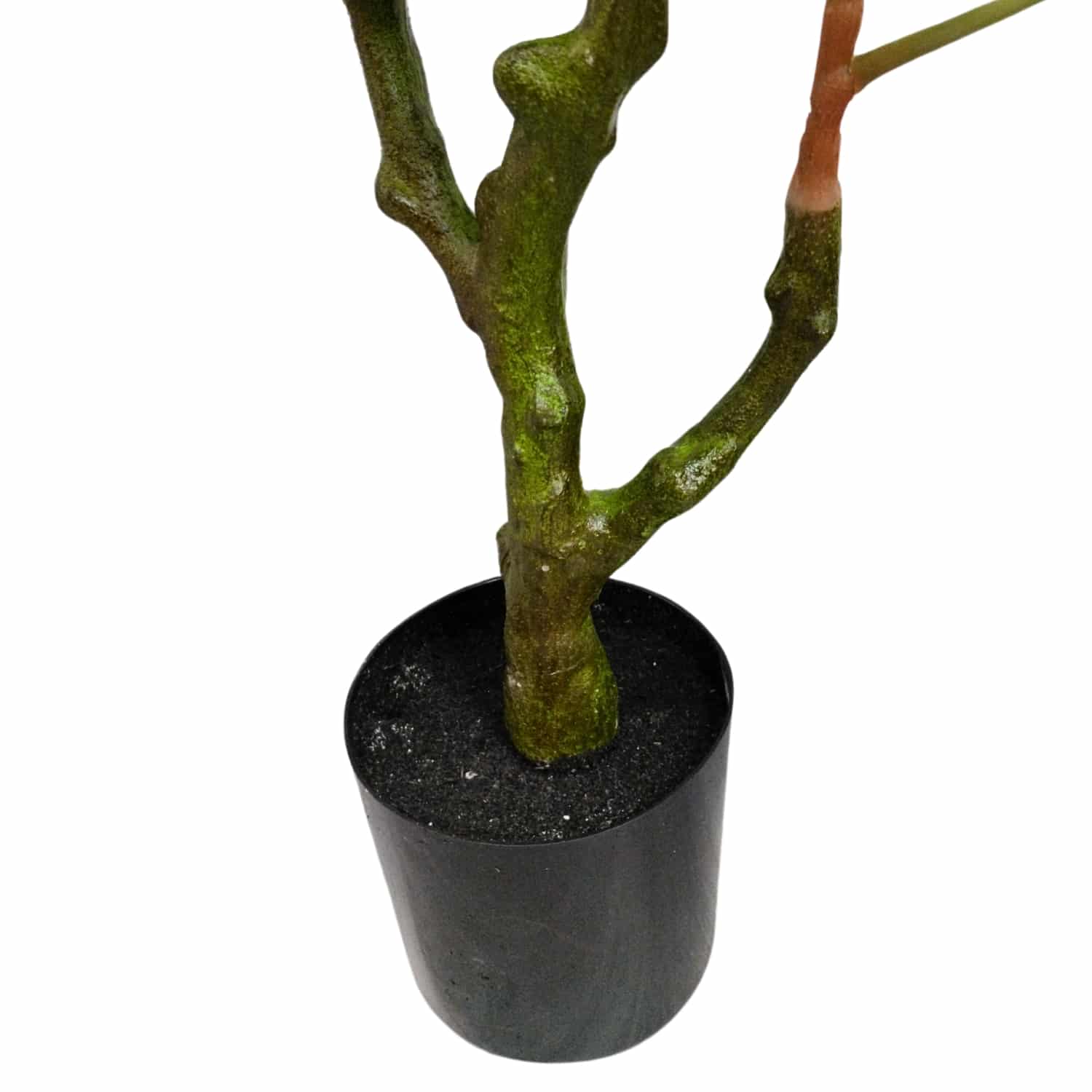 https://www.unicesped.com/wp-content/uploads/2025/12/Maceta-planta-higuera.jpg