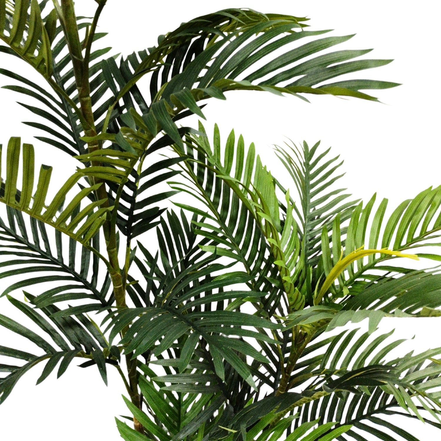 https://www.unicesped.com/wp-content/uploads/2025/12/Palmera-Eco-185-cm-ramas.jpg