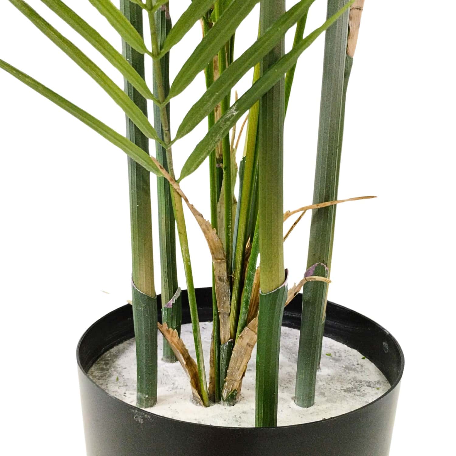 https://www.unicesped.com/wp-content/uploads/2025/12/Palmera-Style-180-cm-maceta.jpg