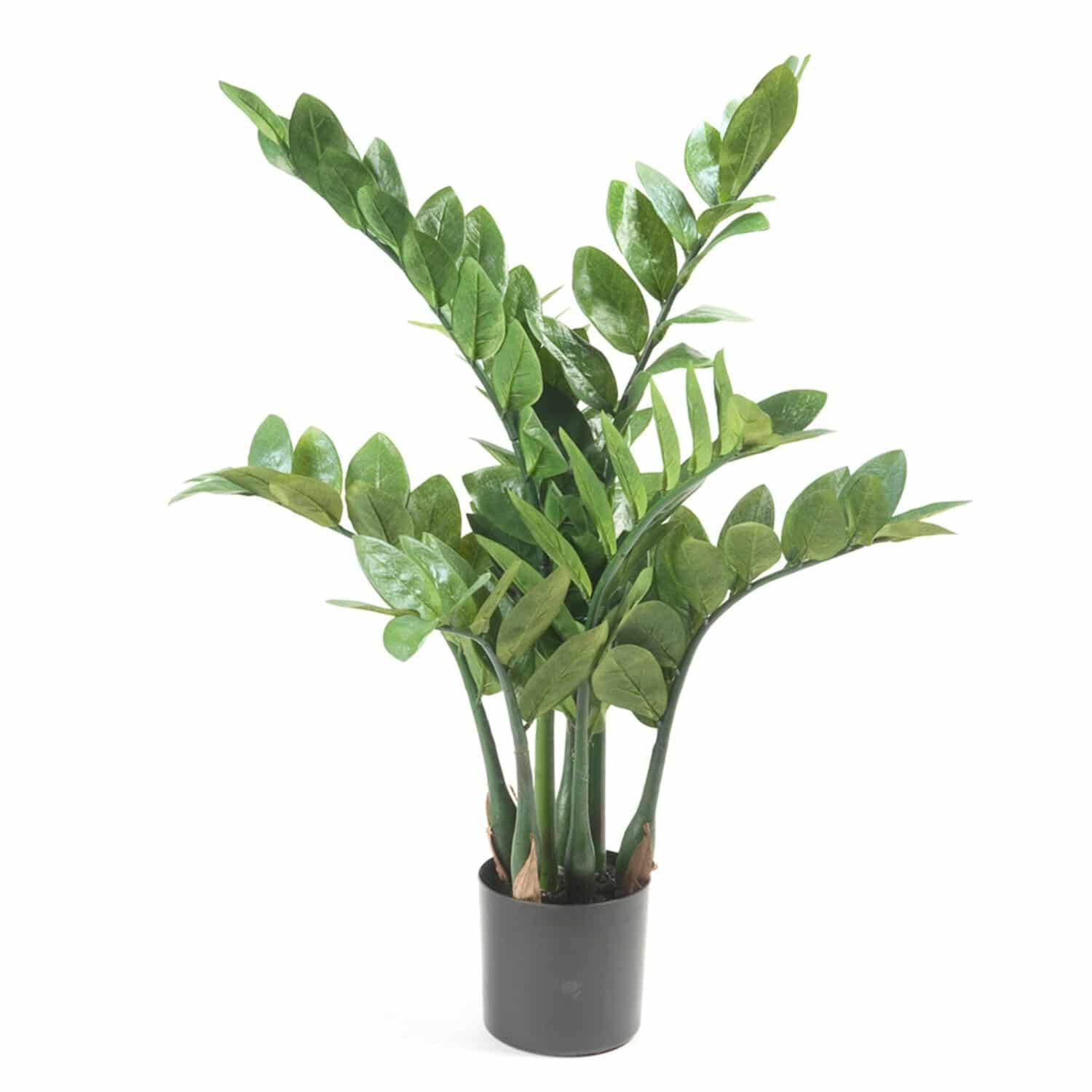 https://www.unicesped.com/wp-content/uploads/2025/12/Planta-Artificial-Zamioculca.jpg