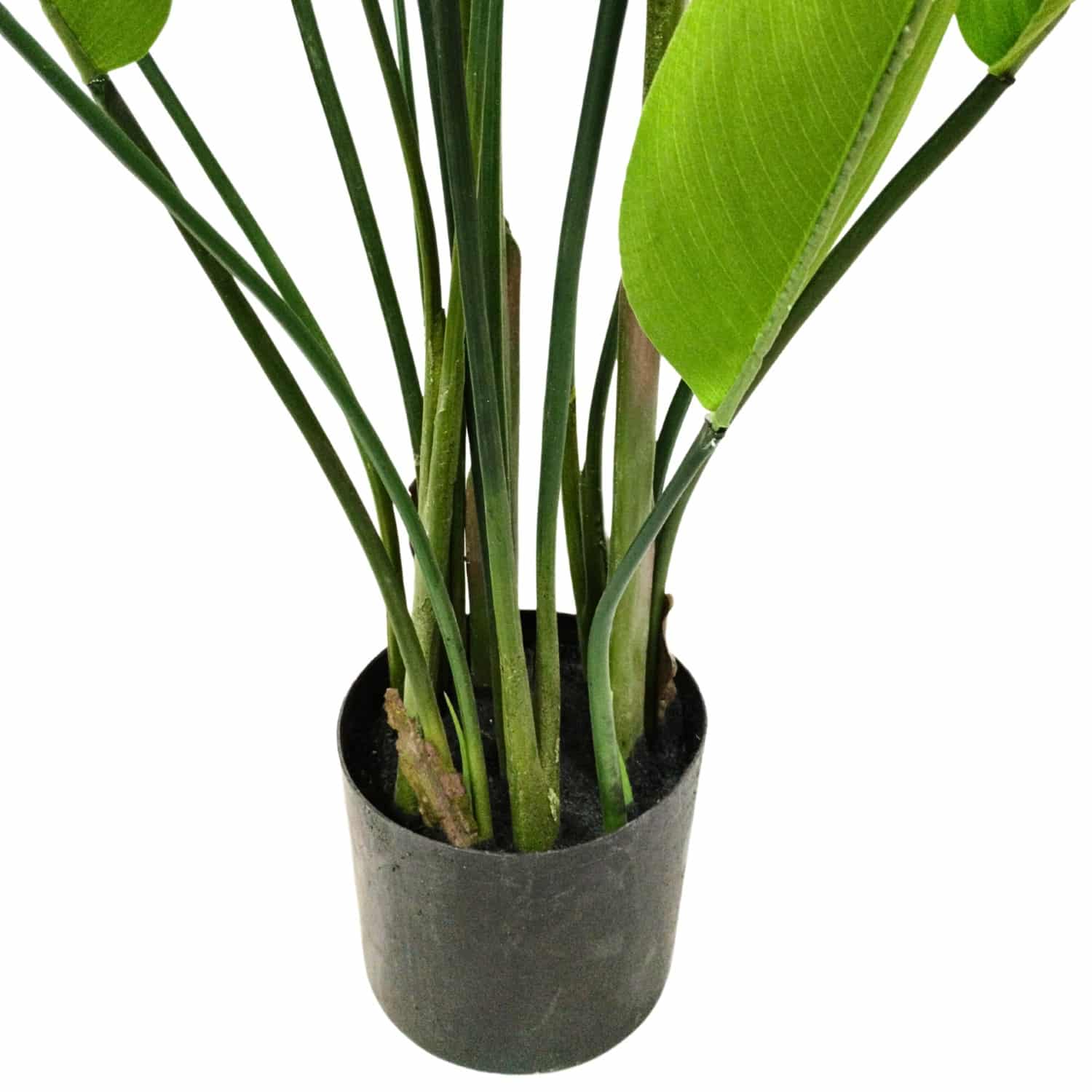 https://www.unicesped.com/wp-content/uploads/2025/12/Planta-heliconia-maceta.jpg