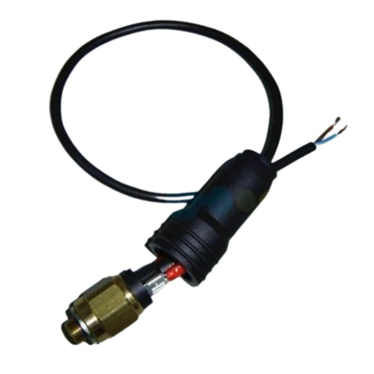 AstralPool - Druckschalter + Unterlegscheibe + Kabel 1 1/2" - BricoandPool
