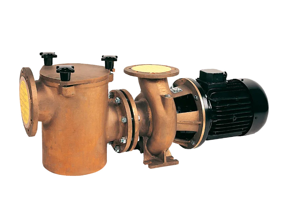 Saci - BR-2 (BRONCE) Bomba para piscina