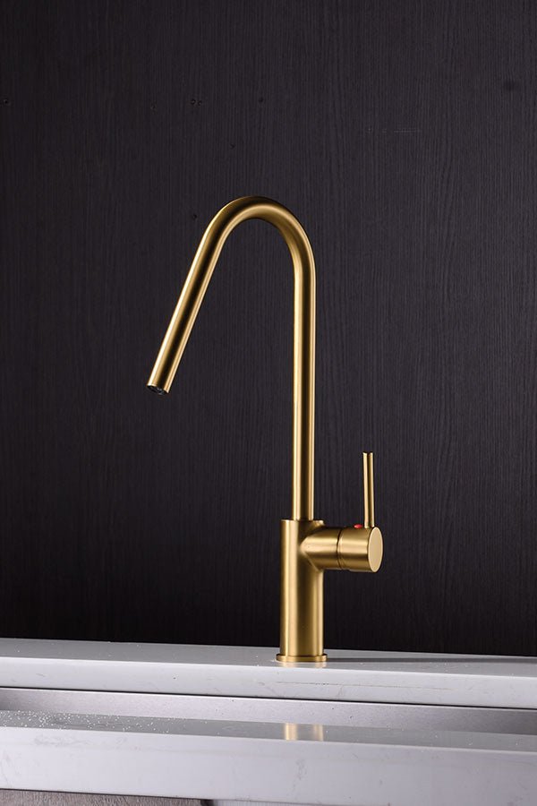 Imex - Grifo de cocina KENIA oro cepillado - BricoandPool