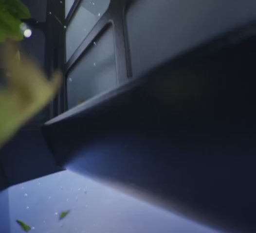Cargar vídeo: 
